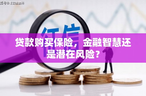 鹿野贷款购买保险，金融智慧还是潜在风险？
