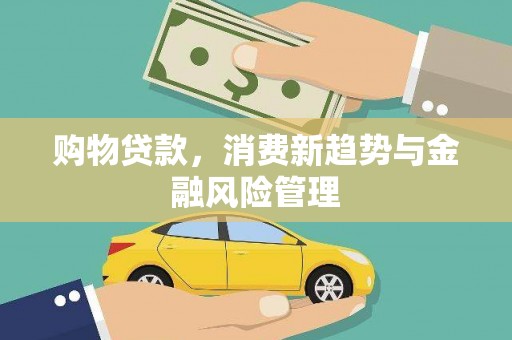 鹿野购物贷款，消费新趋势与金融风险管理