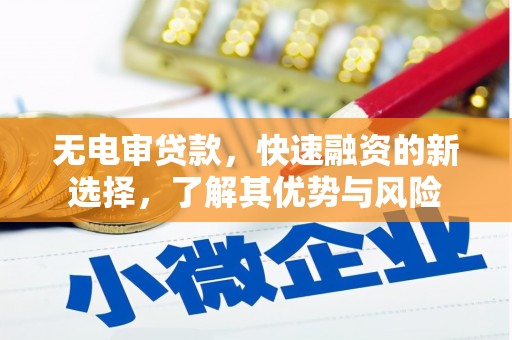鹿野无电审贷款，快速融资的新选择，了解其优势与风险