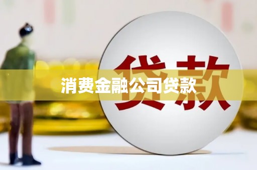 鹿野消费金融公司贷款