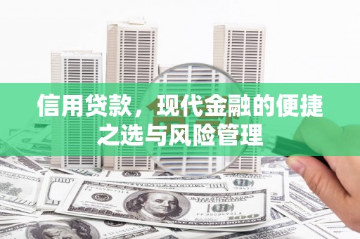 鹿野信用贷款，现代金融的便捷之选与风险管理