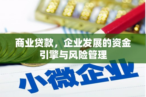 鹿野商业贷款，企业发展的资金引擎与风险管理