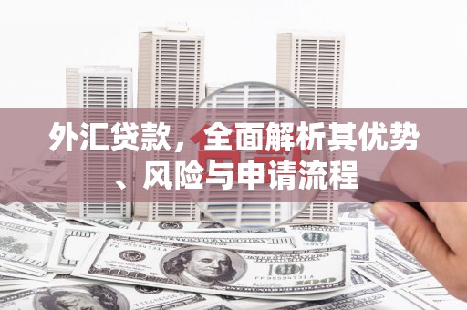 鹿野外汇贷款，全面解析其优势、风险与申请流程