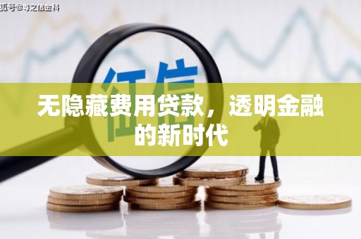 鹿野无隐藏费用贷款，透明金融的新时代