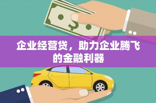 鹿野企业经营贷，助力企业腾飞的金融利器