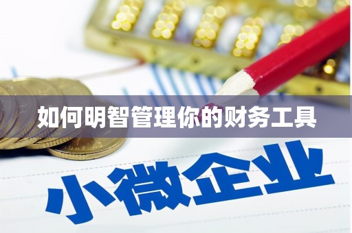 鹿野如何明智管理你的财务工具