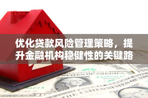 鹿野优化贷款风险管理策略，提升金融机构稳健性的关键路径