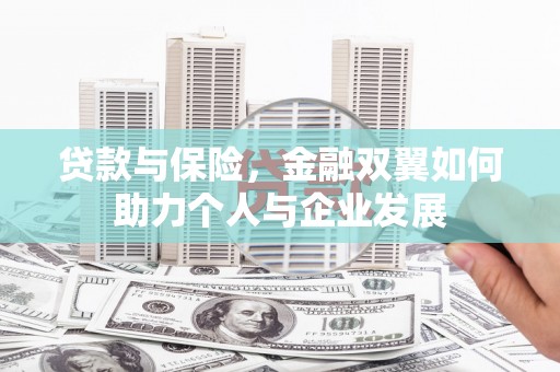 鹿野贷款与保险，金融双翼如何助力个人与企业发展