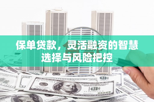 鹿野保单贷款，灵活融资的智慧选择与风险把控