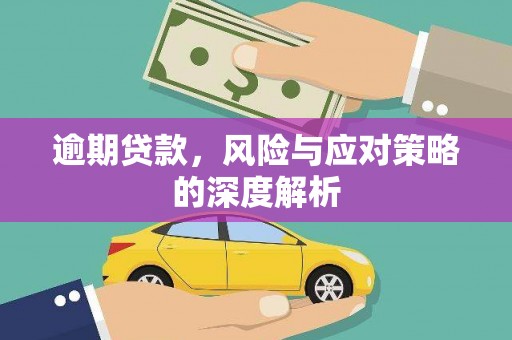 鹿野逾期贷款，风险与应对策略的深度解析