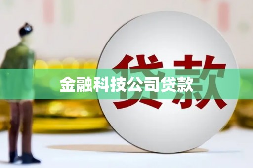 鹿野金融科技公司贷款