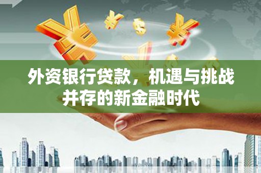 鹿野外资银行贷款，机遇与挑战并存的新金融时代