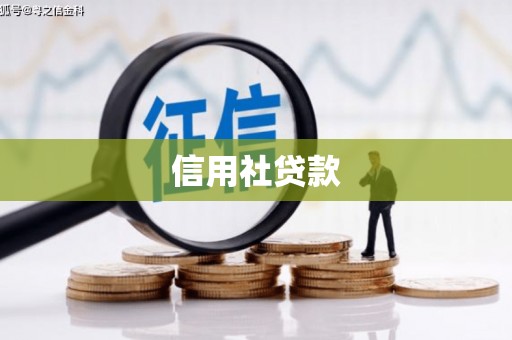 鹿野信用社贷款