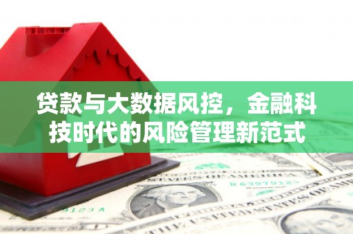 鹿野贷款与大数据风控，金融科技时代的风险管理新范式