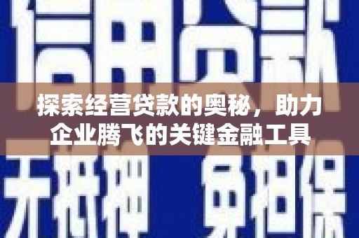 鹿野探索经营贷款的奥秘，助力企业腾飞的关键金融工具