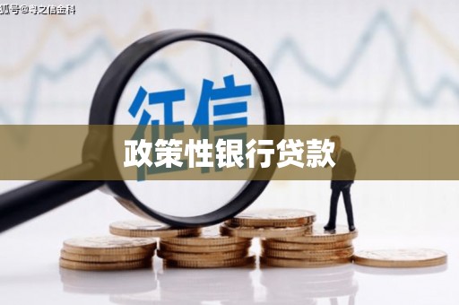 鹿野政策性银行贷款