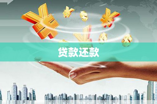 鹿野贷款还款