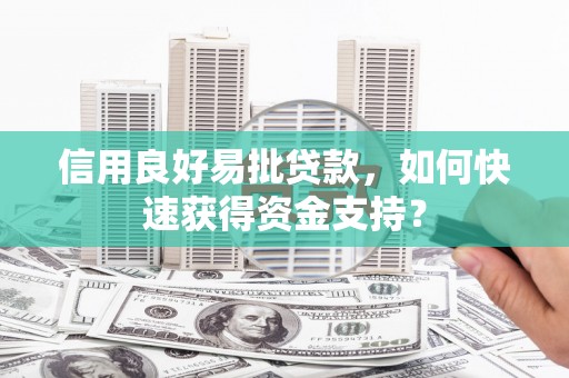 鹿野信用良好易批贷款，如何快速获得资金支持？