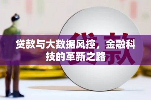 鹿野贷款与大数据风控，金融科技的革新之路