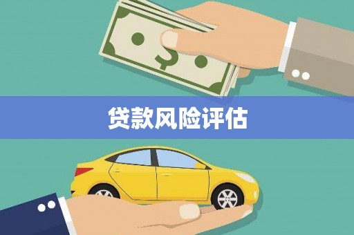 鹿野贷款风险评估