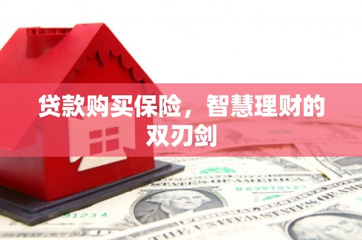鹿野贷款购买保险，智慧理财的双刃剑