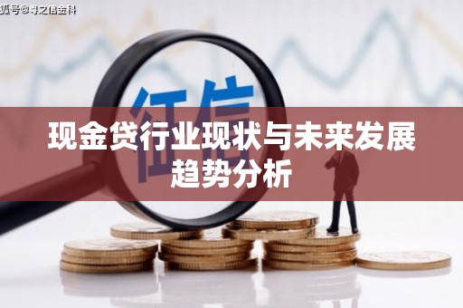 鹿野现金贷行业现状与未来发展趋势分析