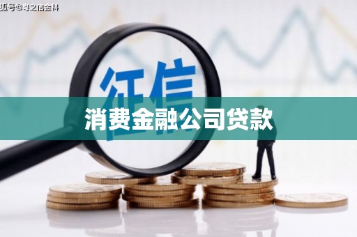 鹿野消费金融公司贷款