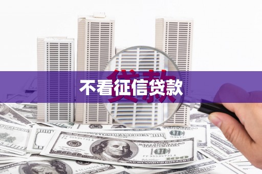 鹿野不看征信贷款