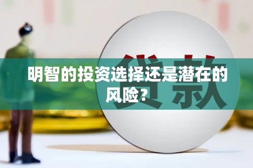 鹿野明智的投资选择还是潜在的风险？