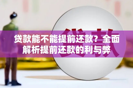 鹿野贷款能不能提前还款？全面解析提前还款的利与弊