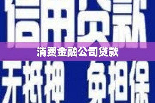 鹿野消费金融公司贷款