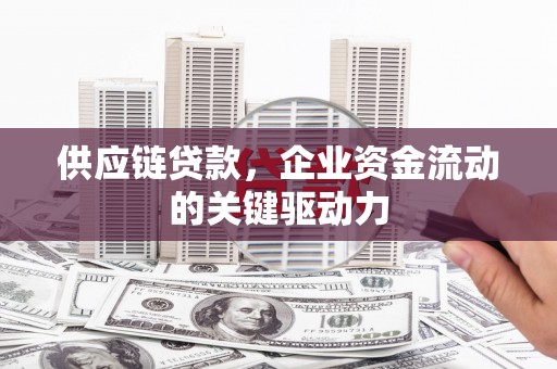 鹿野供应链贷款，企业资金流动的关键驱动力
