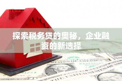 鹿野探索税务贷的奥秘，企业融资的新选择