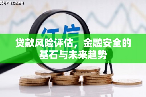 鹿野贷款风险评估，金融安全的基石与未来趋势