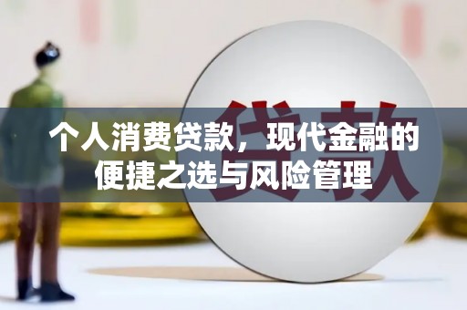 鹿野个人消费贷款，现代金融的便捷之选与风险管理