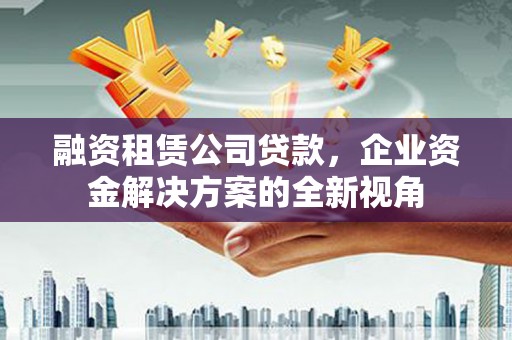 鹿野融资租赁公司贷款，企业资金解决方案的全新视角
