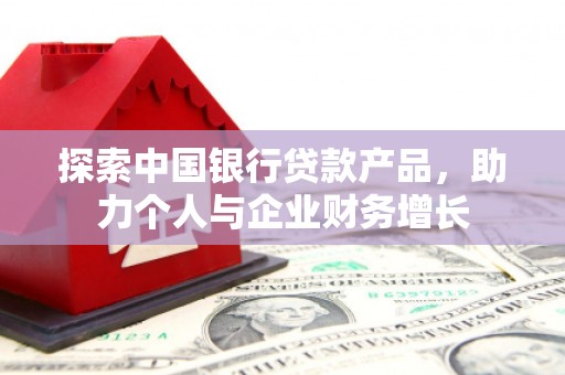 鹿野探索中国银行贷款产品，助力个人与企业财务增长
