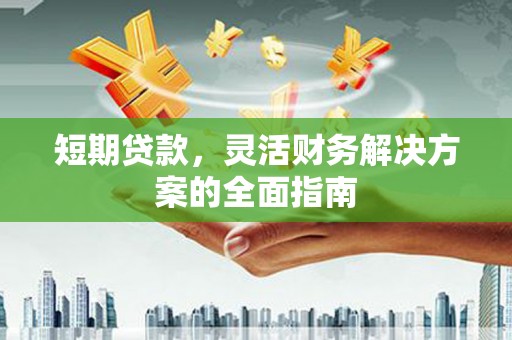 鹿野短期贷款，灵活财务解决方案的全面指南