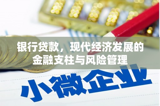 鹿野银行贷款，现代经济发展的金融支柱与风险管理