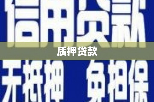 鹿野质押贷款