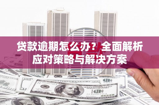 鹿野贷款逾期怎么办？全面解析应对策略与解决方案