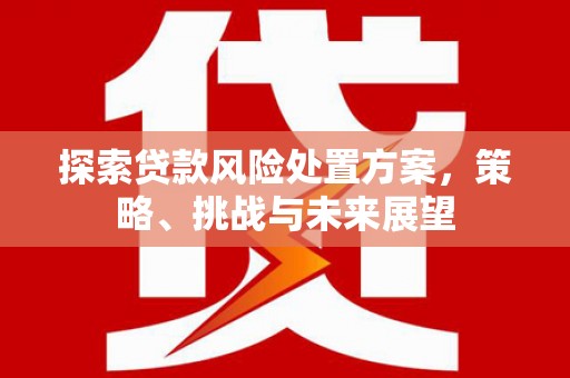 鹿野探索贷款风险处置方案，策略、挑战与未来展望