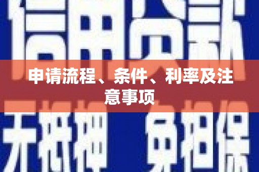 鹿野申请流程、条件、利率及注意事项