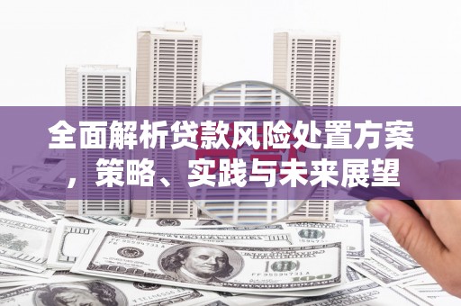 鹿野全面解析贷款风险处置方案，策略、实践与未来展望