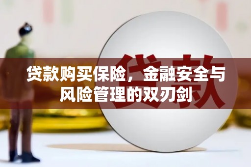 鹿野贷款购买保险，金融安全与风险管理的双刃剑