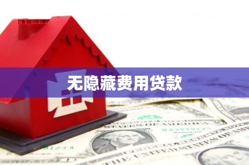 鹿野无隐藏费用贷款