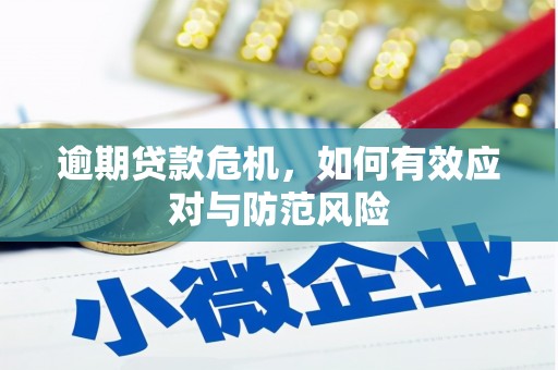 鹿野逾期贷款危机，如何有效应对与防范风险