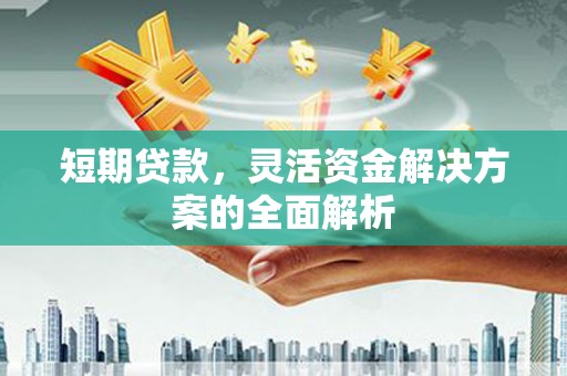 鹿野短期贷款，灵活资金解决方案的全面解析