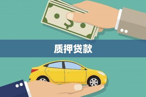 鹿野质押贷款