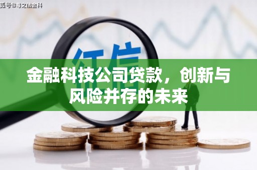 鹿野金融科技公司贷款，创新与风险并存的未来